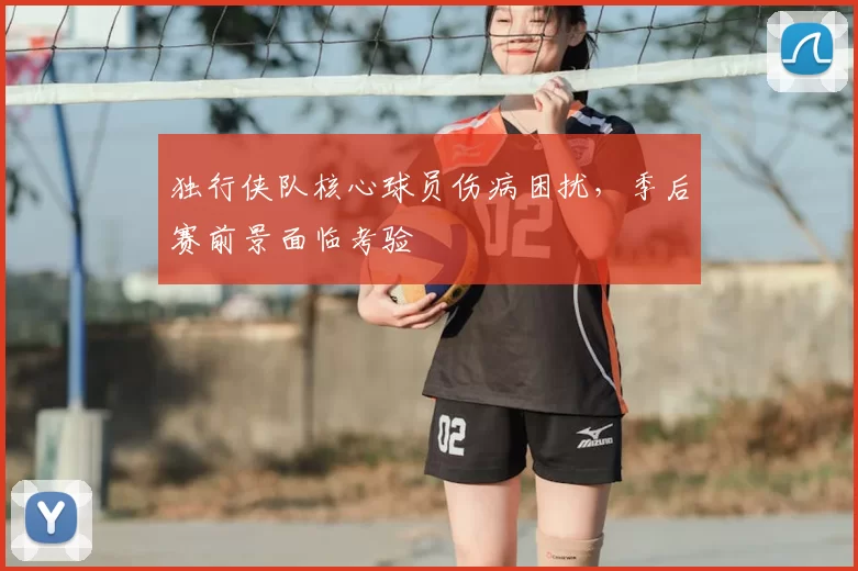 独行侠队核心球员伤病困扰,季后赛前景面临考验