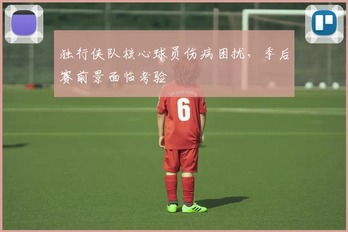 独行侠队核心球员伤病困扰，季后赛前景面临考验