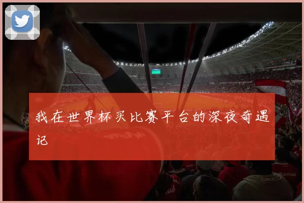 我在世界杯买比赛平台的深夜奇遇记
