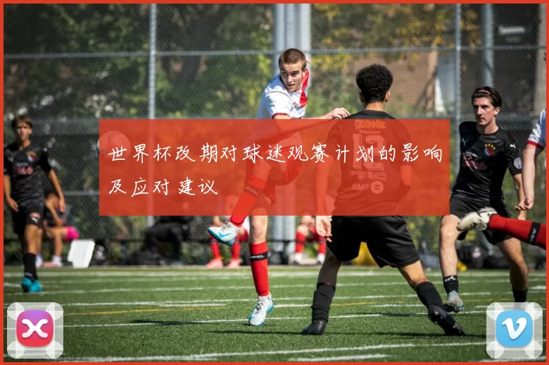 世界杯改期对球迷观赛计划的影响及应对建议