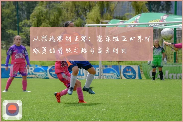 从预选赛到正赛：塞尔维亚世界杯球员的晋级之路与高光时刻