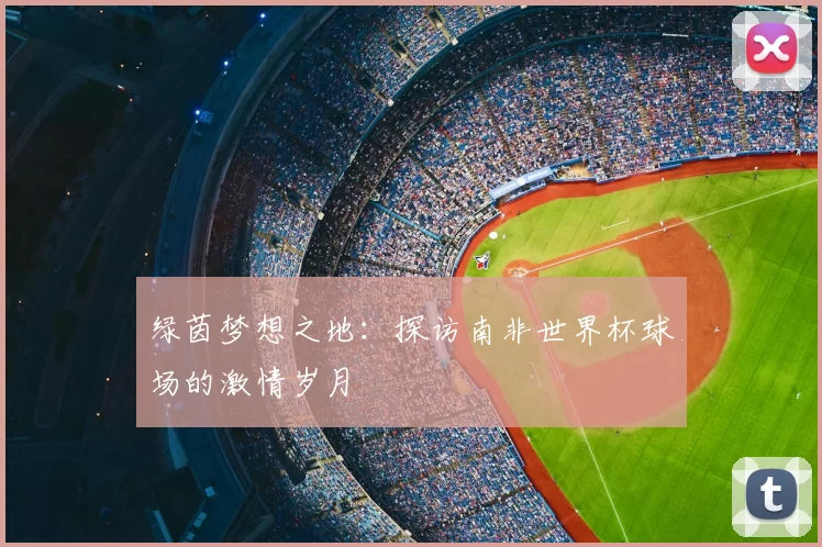 绿茵梦想之地：探访南非世界杯球场的激情岁月