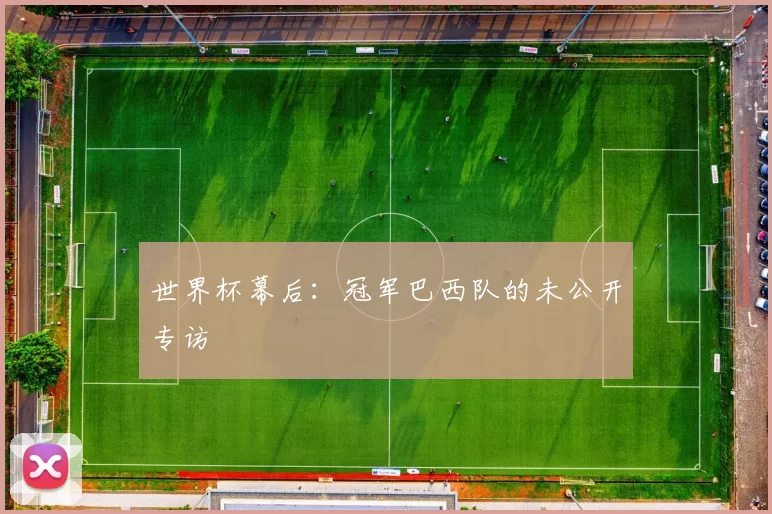 世界杯幕后：冠军巴西队的未公开专访