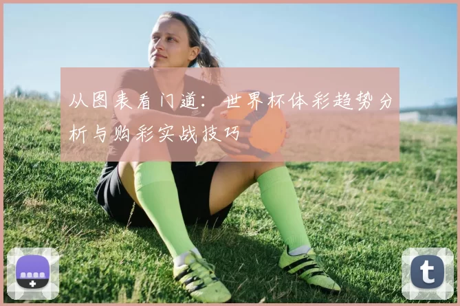 从图表看门道：世界杯体彩趋势分析与购彩实战技巧