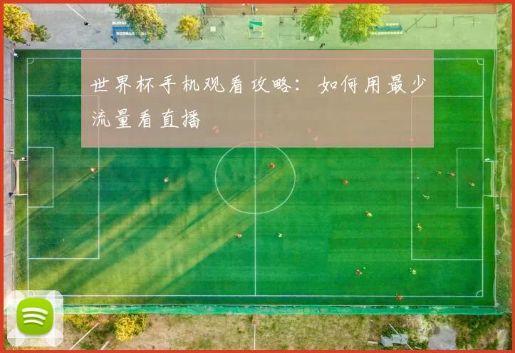 世界杯手机观看攻略：如何用最少流量看直播