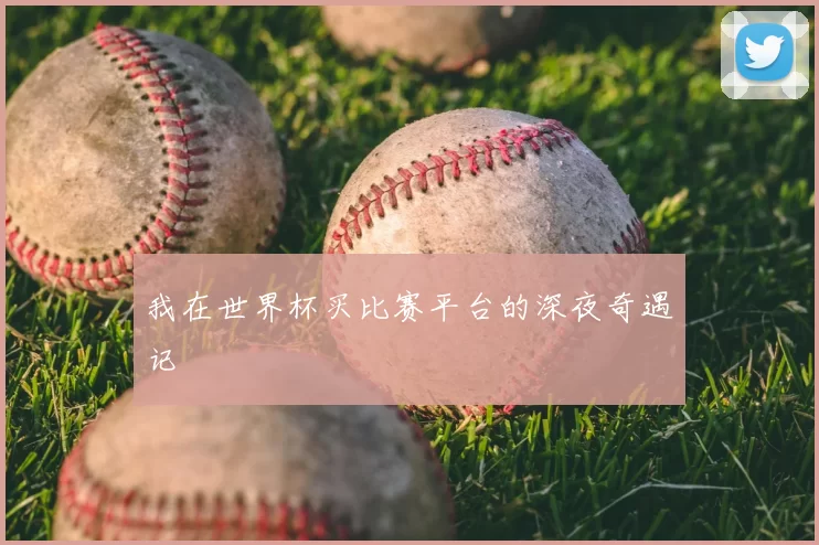 我在世界杯买比赛平台的深夜奇遇记