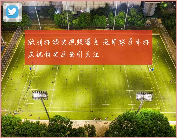 欧洲杯颁奖视频曝光 冠军球员举杯庆祝领奖画面引关注
