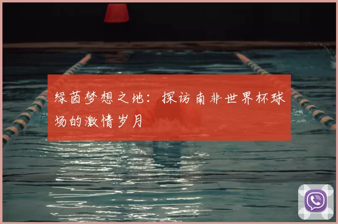 绿茵梦想之地:探访南非世界杯球场的激情岁月
